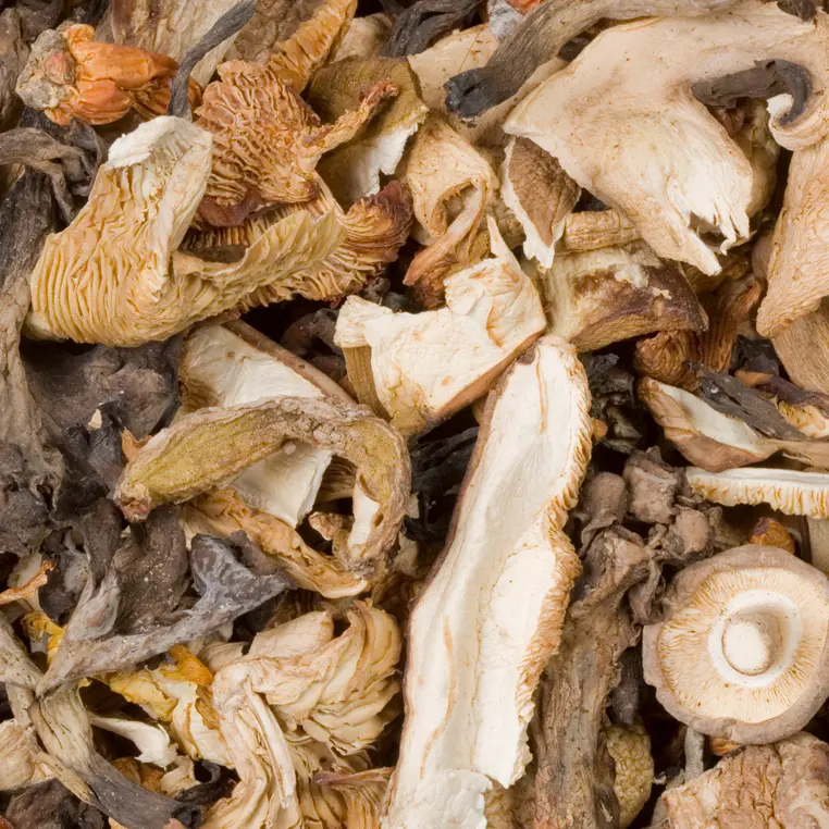 1 bossa de 500 gr de bolets deshidratats a escollir - Monbolet