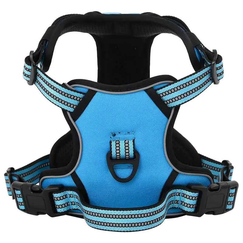 Arnés Para Perros Con Correa Y Collar Ajustable Azul Xl