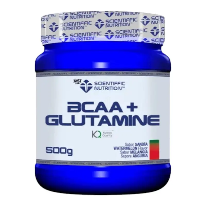 Bcaa + Glutamine Kyowa® 500 Gr Melon
