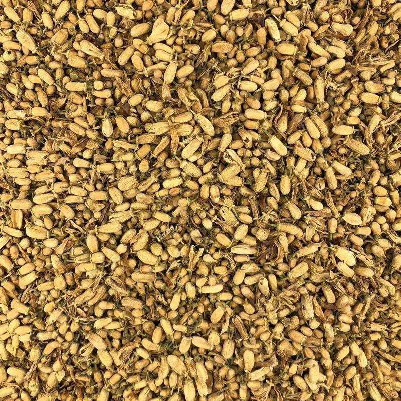 Botón Naranja Granel Ecológico 0,05 Kg