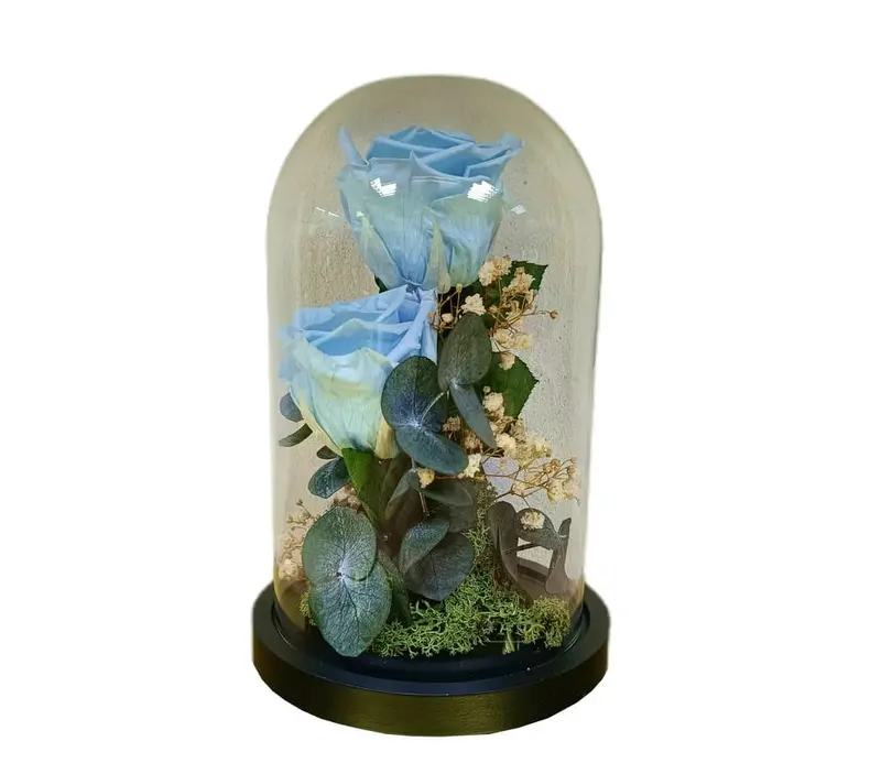 Cúpula 2 Rosas Azul Claro 12x20cm