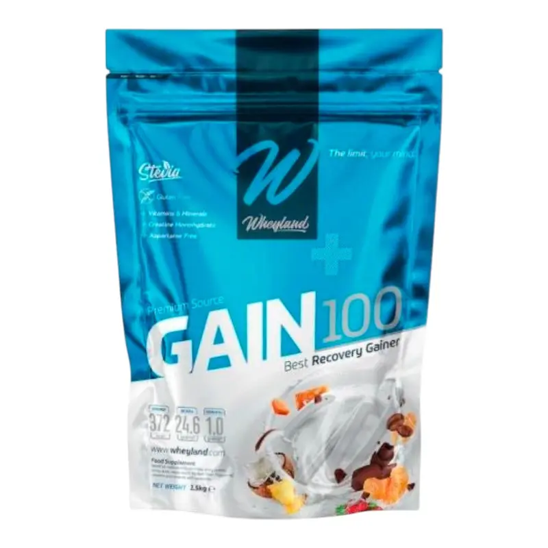 Gain 100 3 Kg Galleta