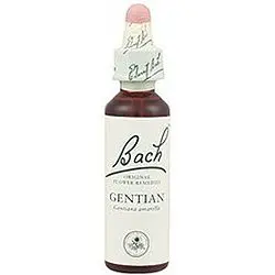 Gentian nº 12 · Bach · 20 ml