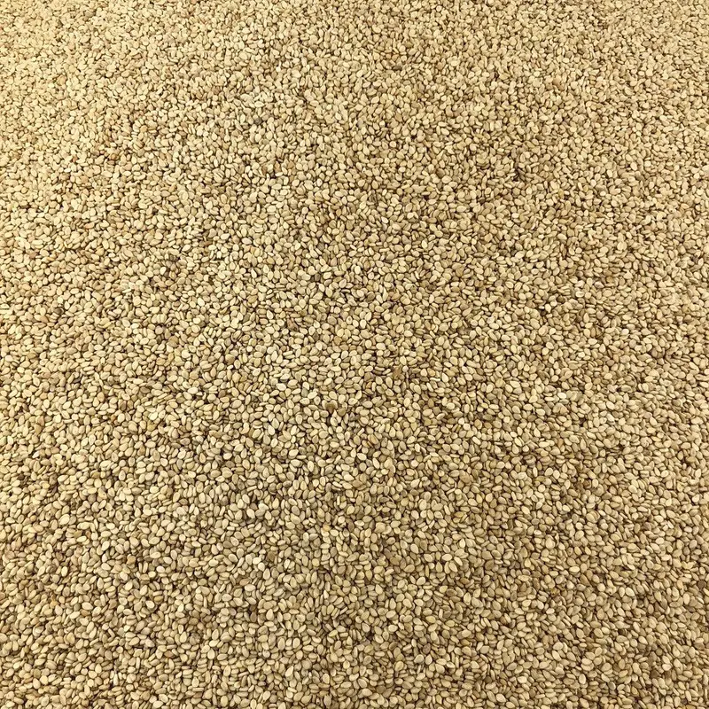 Goma Guar Orgánica Granel 25 Kg