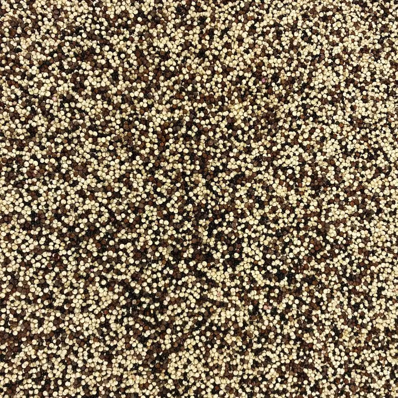 Harina De Coco Ecológica Granel 1 Kg