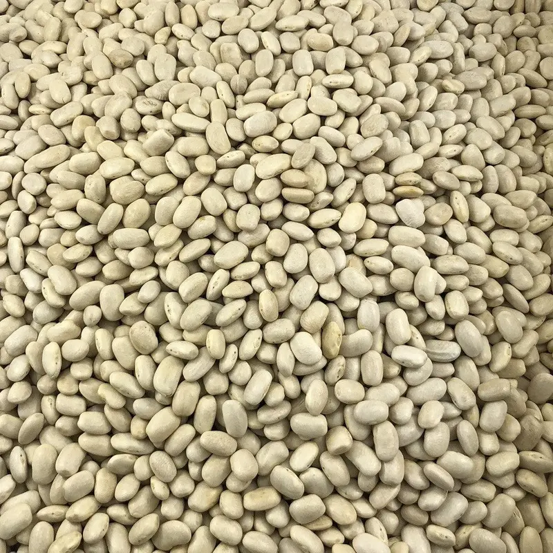 Harina De Soja Ecológica Granel 5 Kg
