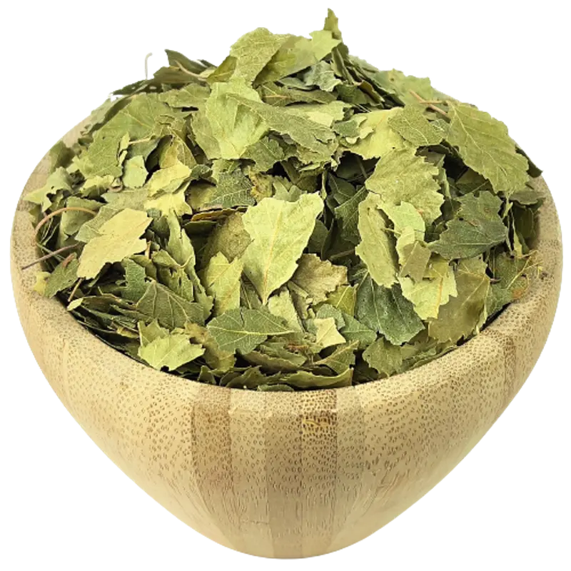 Hojas De Abedul Bio Granel 10 Kg