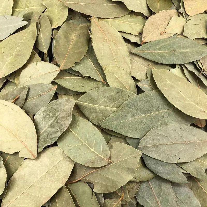 Hojas De Laurel Orgánicas Granel 1 Kg
