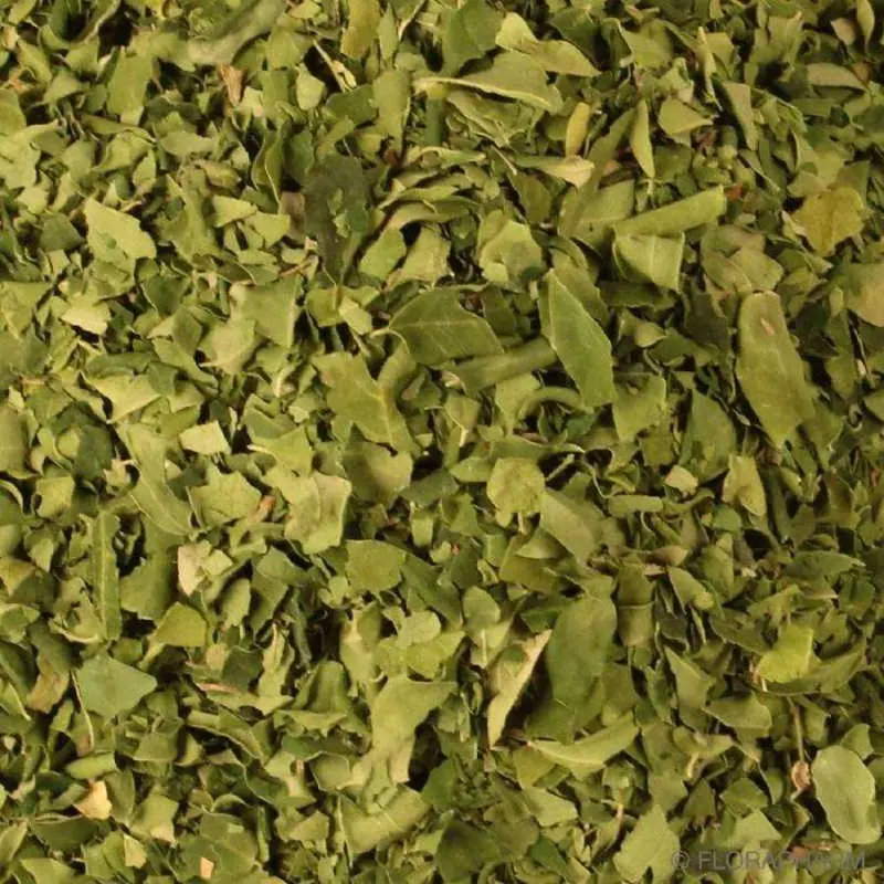 Hojas De Moringa Orgánica Granel 5 Kg