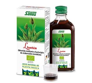 Jugo de Llantén Bio · Salus · 200 ml