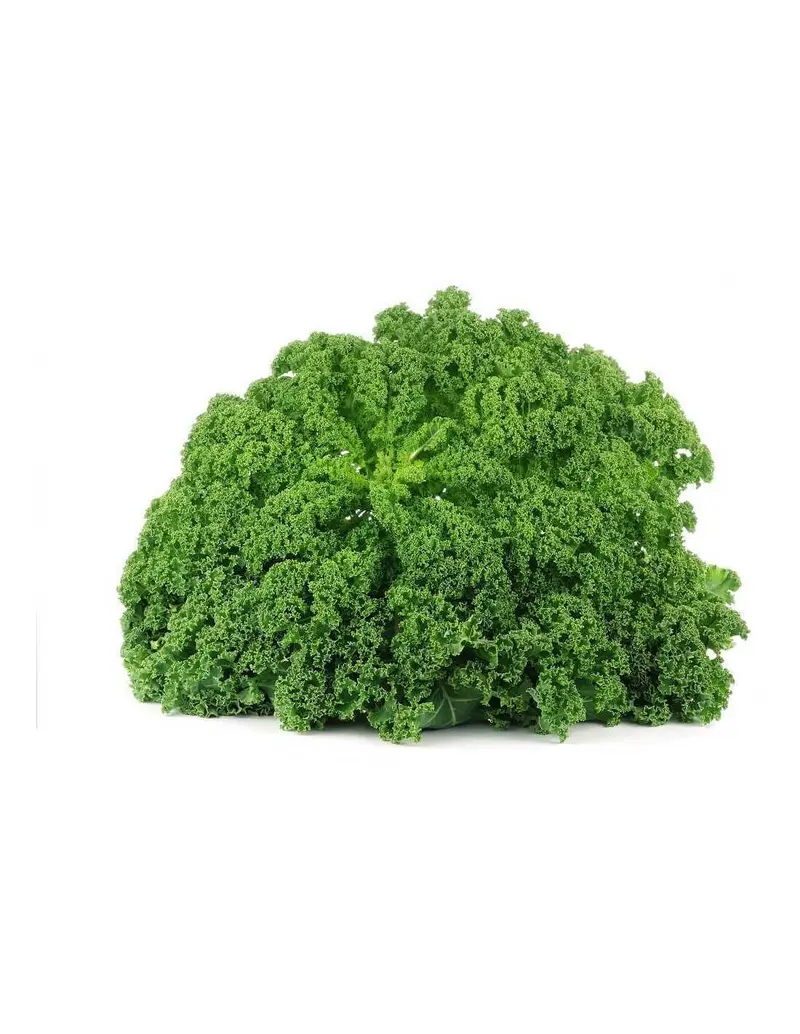 Kale Bio - 3kg
