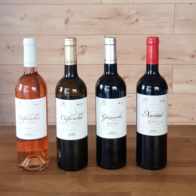 PACK degustación vinos D.O. Bierzo