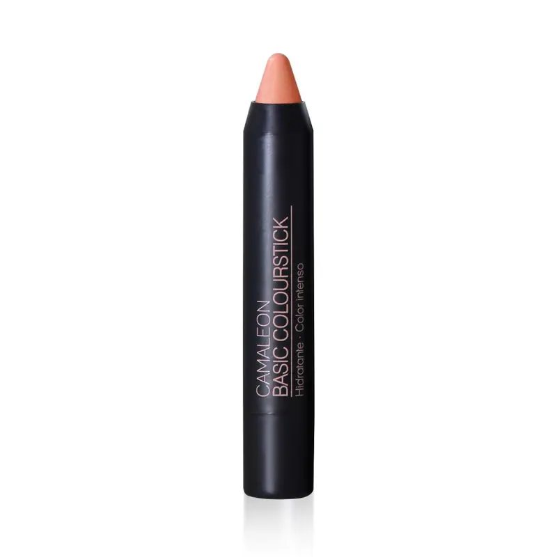 Pintalabios Arena Basic Colourfun 4g Camaleon Cosmetics