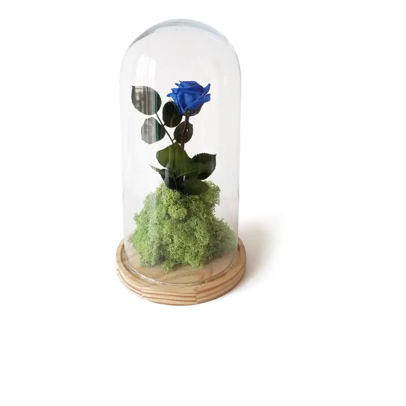 Rosa Eterna – B&b Azul