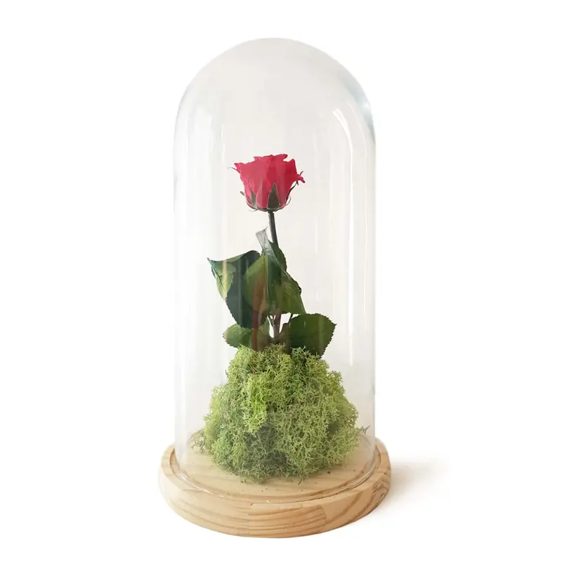 Rosa Eterna – B&b Roja