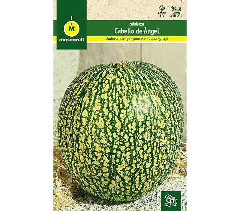 Semillas Calabaza Cabello De Ángel