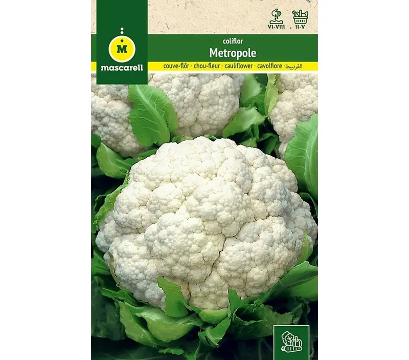 Semillas Coliflor Metropole