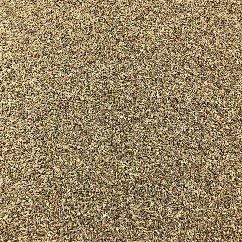 Semillas De Anis Verde Bio Granel 2 Kg