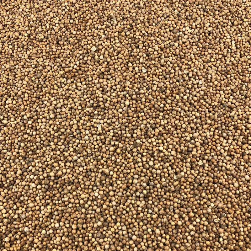 Semillas De Cilantro Bio Granel 0,5 Kg