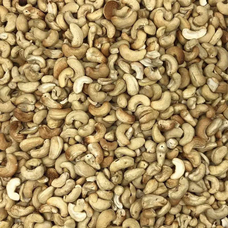 Semillas De Hinojo Ecológico Granel 2 Kg