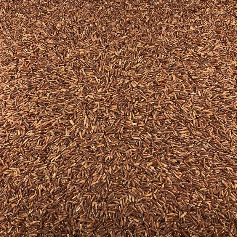 Semillas De Mostaza Negra Bio Granel 10 Kg
