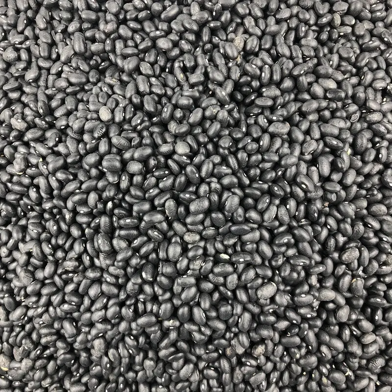 Semillas De Mostaza Negra Bio Granel 2 Kg