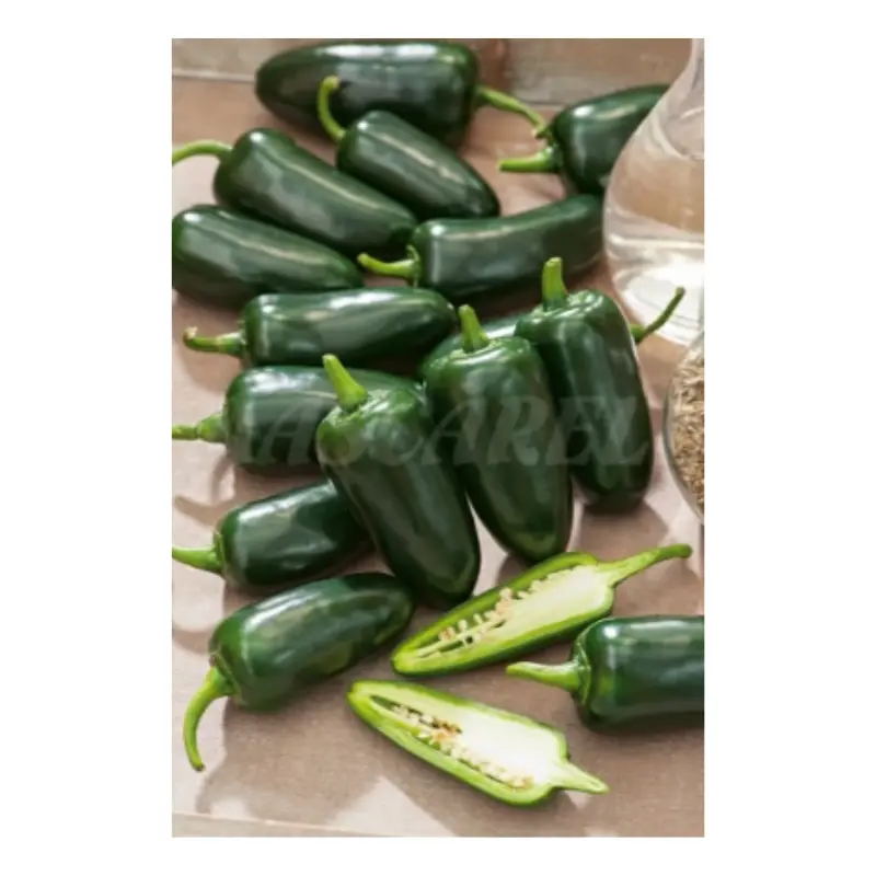 Semillas Pimiento Jalapeño