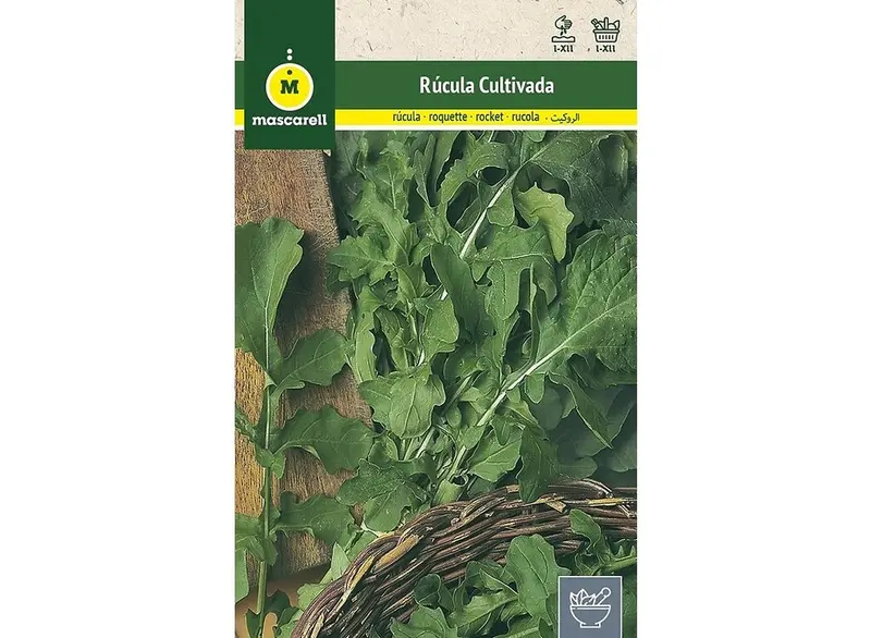Semillas Rúcula Cultivada