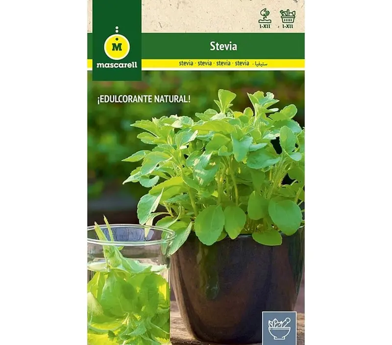 Semillas Stevia