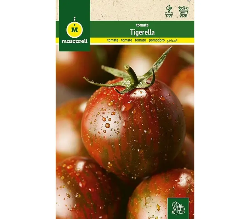 Semillas Tomate Tigerella