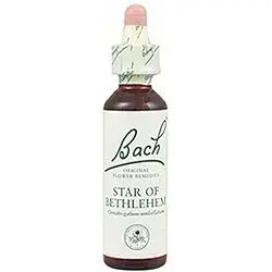 Star Of Bethlehem nº 29 · Bach · 20 ml