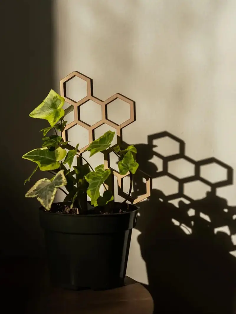 Tutor Nido De Abeja #3